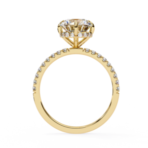Luxe Rings